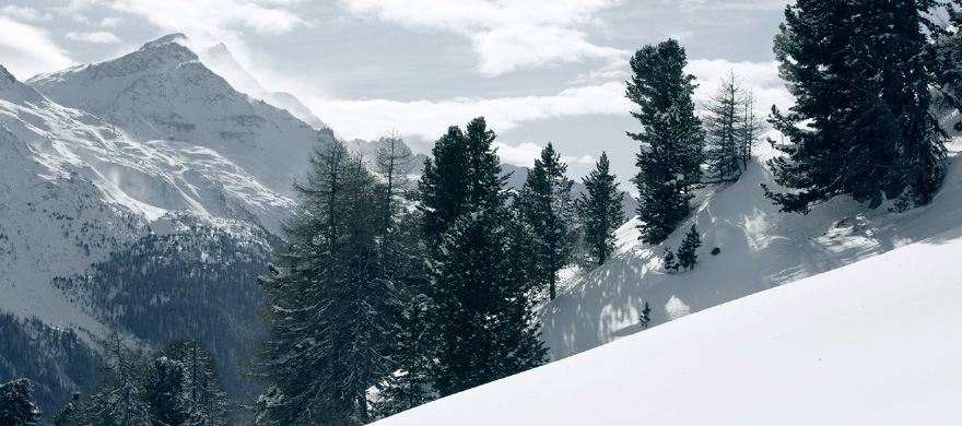Schneesport mit Rücksicht - Natur + Freizeit - test